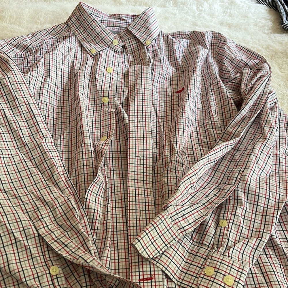 Southern marsh button down